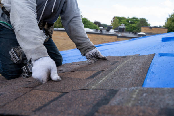 Best Roof Repair Services  in Combe, LA