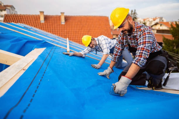 Best Metal Roofing Contractor  in Combe, LA